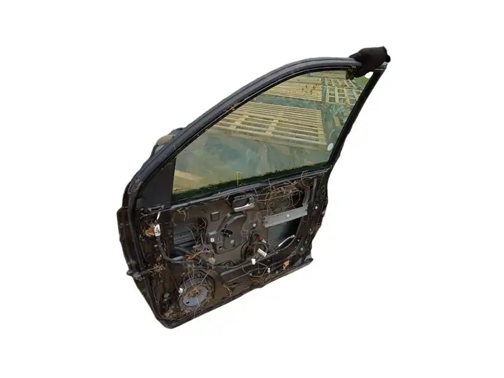 Nissan X-Trail T30 (2001 - 2007) Дверь — фото 2