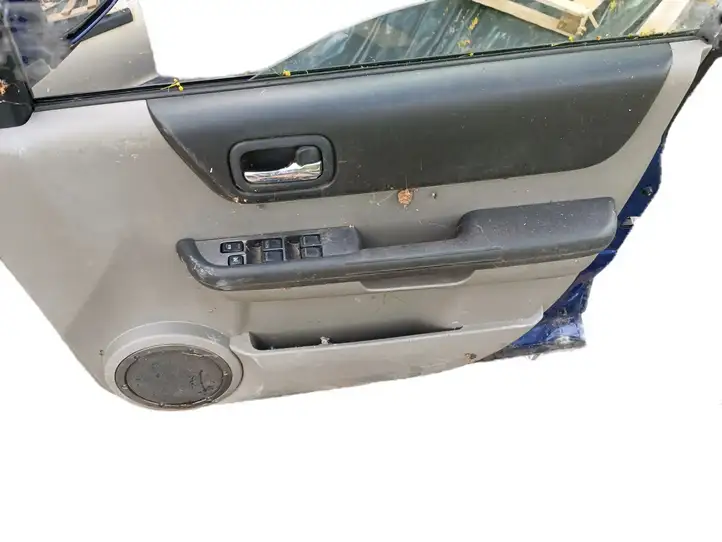 Nissan X-Trail T30 (2001 - 2007) Дверь — фото 4
