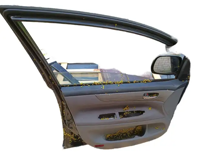 Toyota Avensis Verso (2001 - 2004) Дверь — фото 4