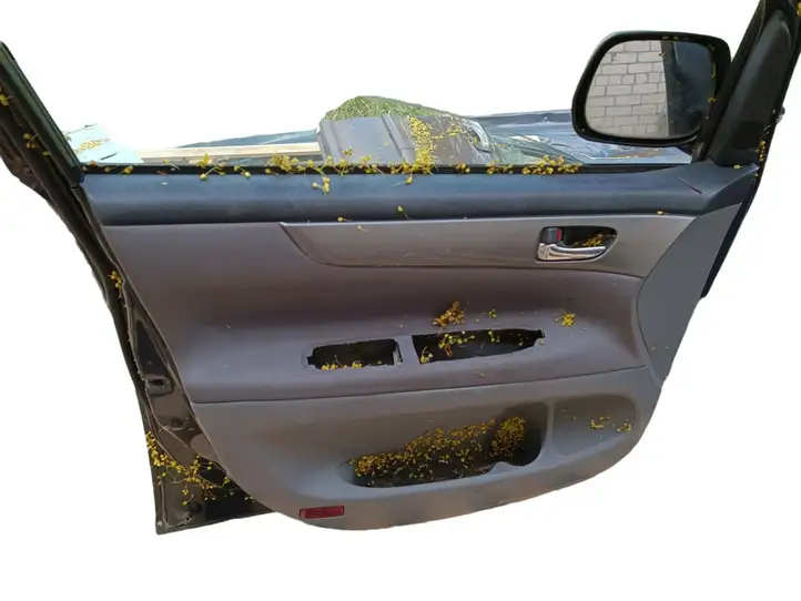 Toyota Avensis Verso (2001 - 2004) Дверь — фото 5
