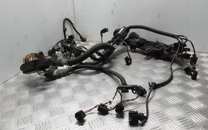 BMW 3 F30 F35 F31 (2012 - 2018) 758065404 Проводка двигателя — фото 1
