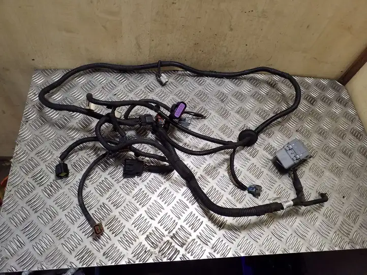 Chevrolet Captiva (2011 - 2013) 95080900 Прочая электропроводка — фото 1