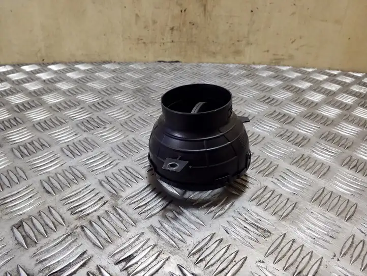 Mini Cooper Countryman R60 (2010 - 2016) 121090210 Боковой воздушный дефлектор — фото 3