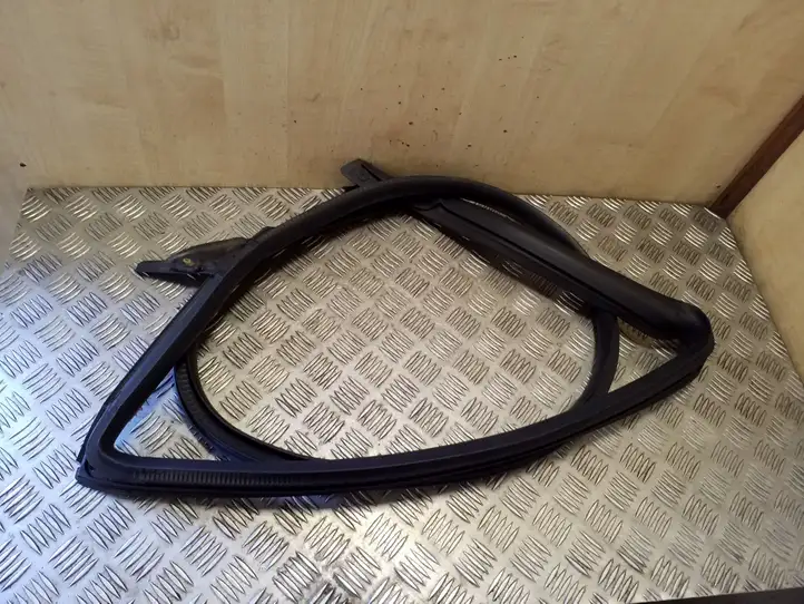 Tesla Model 3 (2017 - 2023) 109049900L Уплотнитель кузова — фото 1