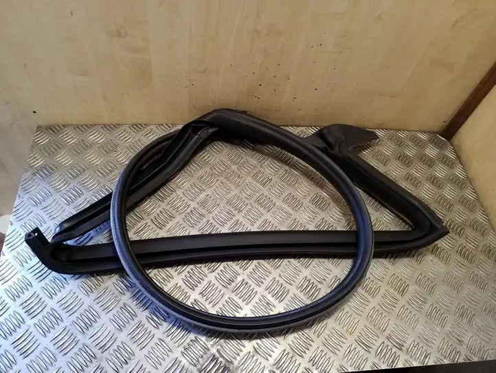 Tesla Model 3 (2017 - 2023) 109049900L Уплотнитель кузова — фото 2