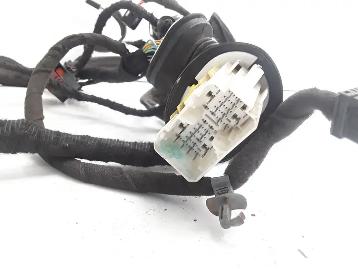 Chevrolet Captiva (2006 - 2011) 6F29DEY Проводка передней двери — фото 2