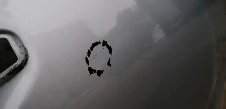 Subaru XV I (2011 - 2018) Дверь — фото 15