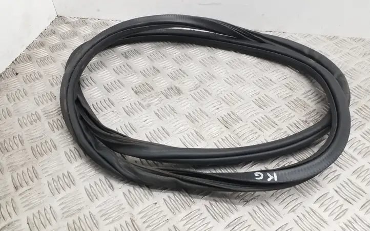 Volkswagen Polo (2009 - 2015)  6R6867911B Уплотнительная резина (на кузове)