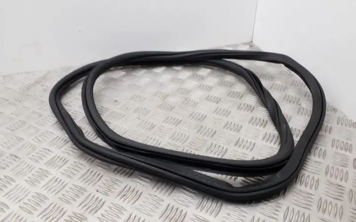 Volkswagen PASSAT B8 (2015 - )  3G9867914K Уплотнительная резина (на кузове)