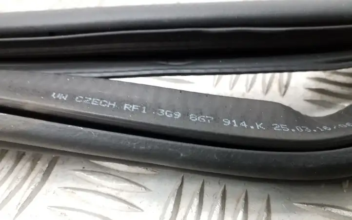 Volkswagen PASSAT B8 (2015 - )  3G9867914K Уплотнительная резина (на кузове)