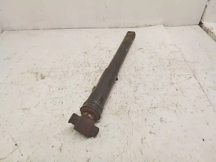 Ford Focus (1998 - 2004)   Задний амортизатор с пружиной