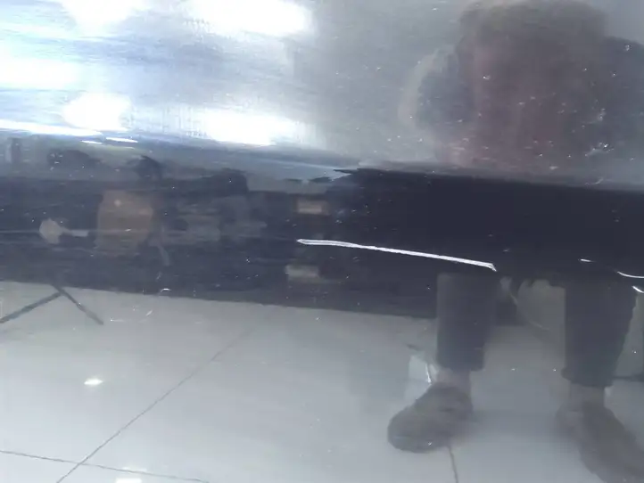 Tesla Model S (2016 - 2021)   Дверь