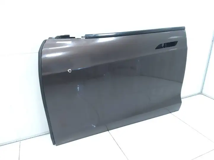 Tesla Model S (2016 - 2021)   Дверь