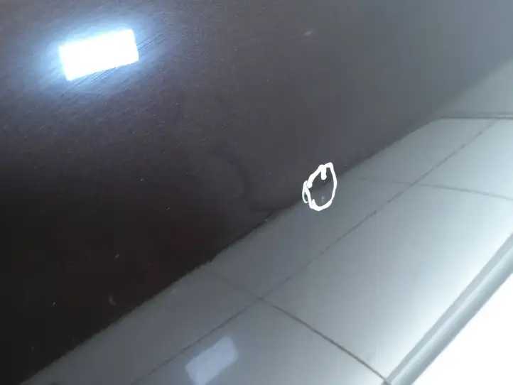 Tesla Model S (2016 - 2021)   Дверь