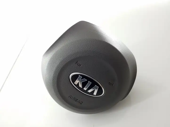 Kia Soul (2014 - 2016) 56900E4000 Подушка безопасности руля — фото 3