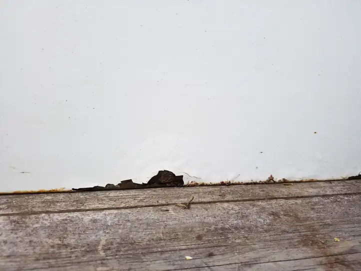 Chrysler Town and Country (2010 - 2016)   Дверь