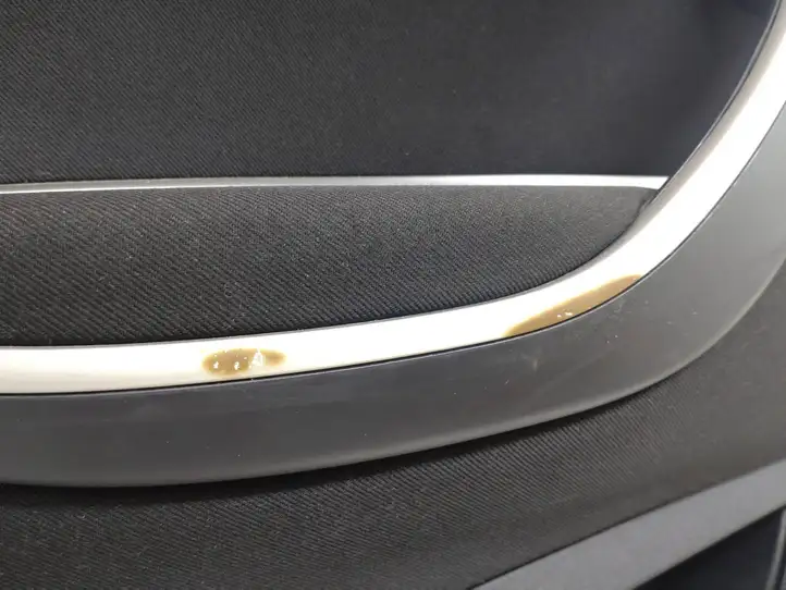 Citroen C5 (2004 - 2008) 96829954ZD Обшивка задней двери — фото 4