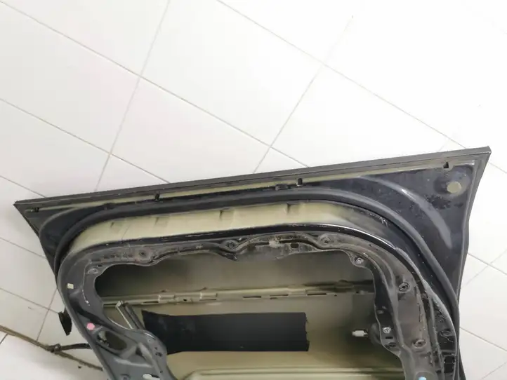 Hyundai Santa Fe (2005 - 2009) Дверь — фото 11