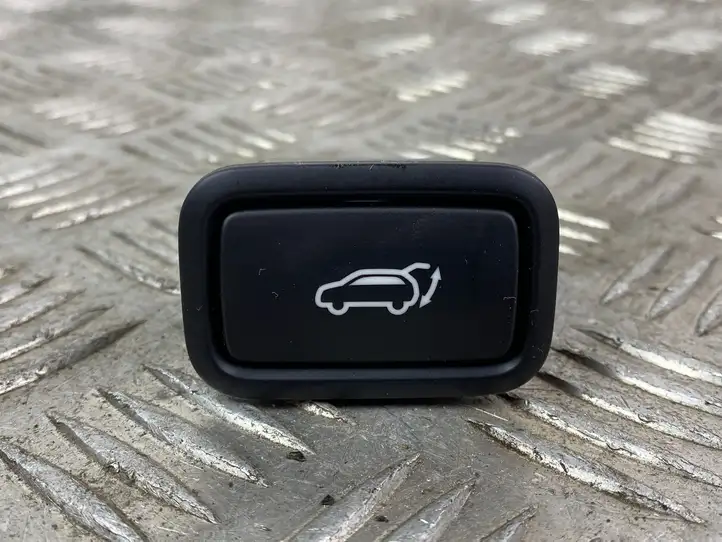 Hyundai Santa Fe (2018 - 2020)  120030346 Кнопка закрывания багажника