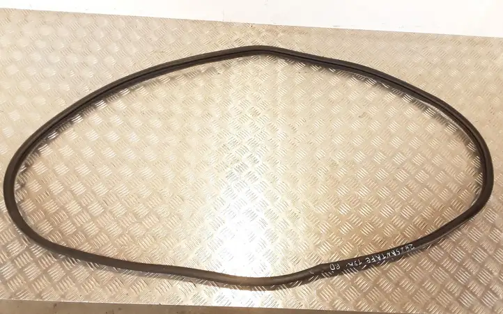 Hyundai Santa Fe (2018 - 2020)   Уплотнительная резина передней двери (на кузове)