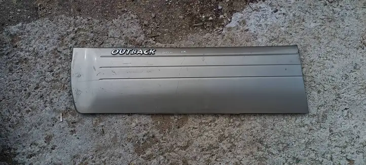 Subaru Outback (1998 - 2003) Молдинг передней двери — фото 1