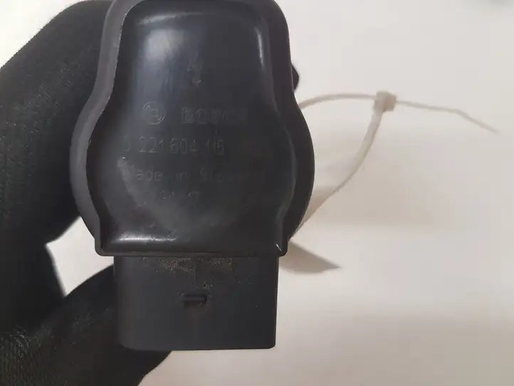 Audi A6 S6 C6 4F (2004 - 2008) 0221604115 Катушка зажигания — фото 5