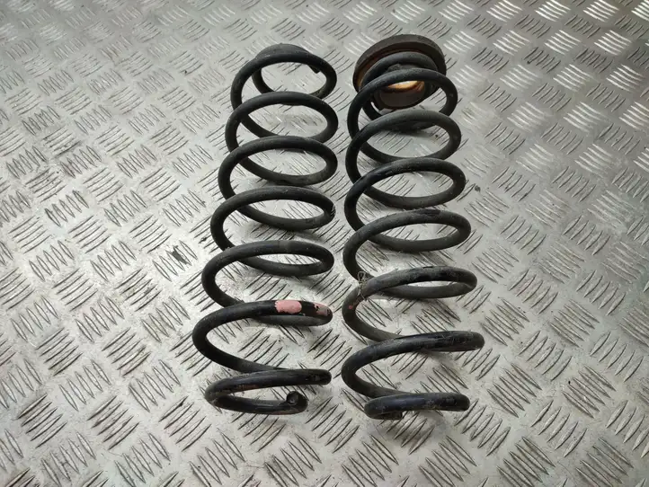 Ford B-Max (2012 - 2018)   Пружина