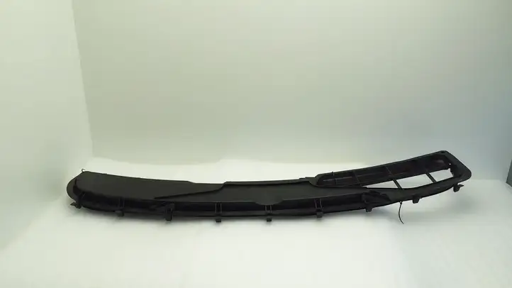 Mercedes-Benz CL C215 (2000 - 2006) 2208800105 Жабо стеклоочистителей — фото 1