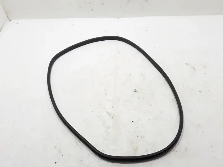 Renault Captur II (2020 - )  808328533R Уплотнительная резина передней двери (на кузове)