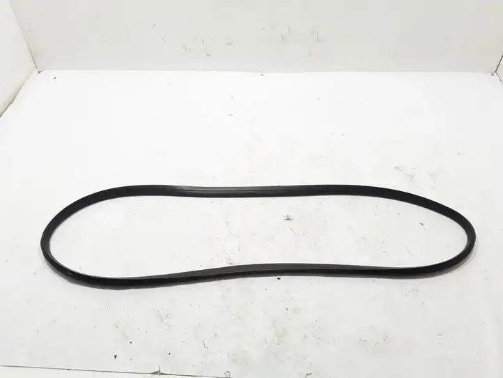 Renault Captur II (2020 - )  808328533R Уплотнительная резина передней двери (на кузове)