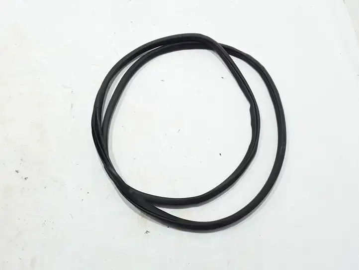 Renault Alaskan (2015 - ) 808304KH0A Уплотнитель передней двери (кузов) — фото 2