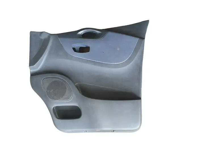 Renault Trafic II (X83) (2002 - 2014) 809005323R Обшивка передней двери — фото 1