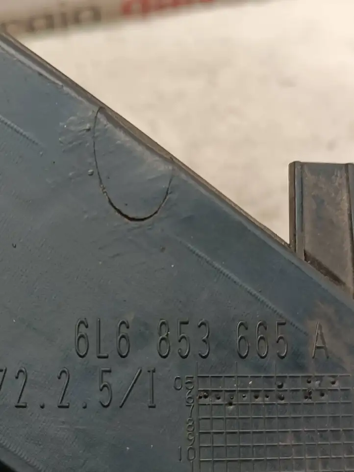 Seat Ibiza III (6L) (2002 - 2008)  6L6853665A Декоративная решётка противотуманной фары