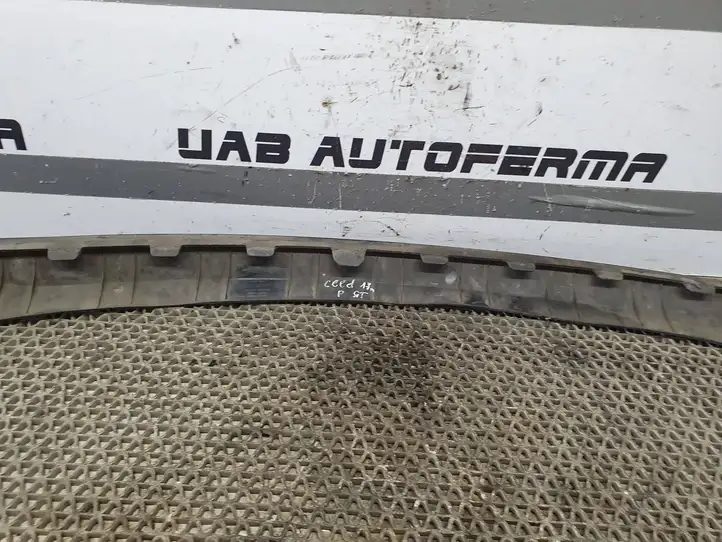 Kia Ceed (2015 - 2018) 86591A2900 Нижняя часть переднего бампера — фото 2