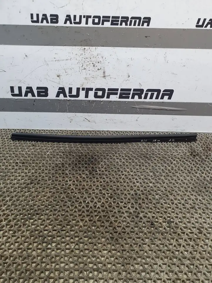 Kia Rio (2015 - 2017)   Уплотнительная резина стекла задней двери