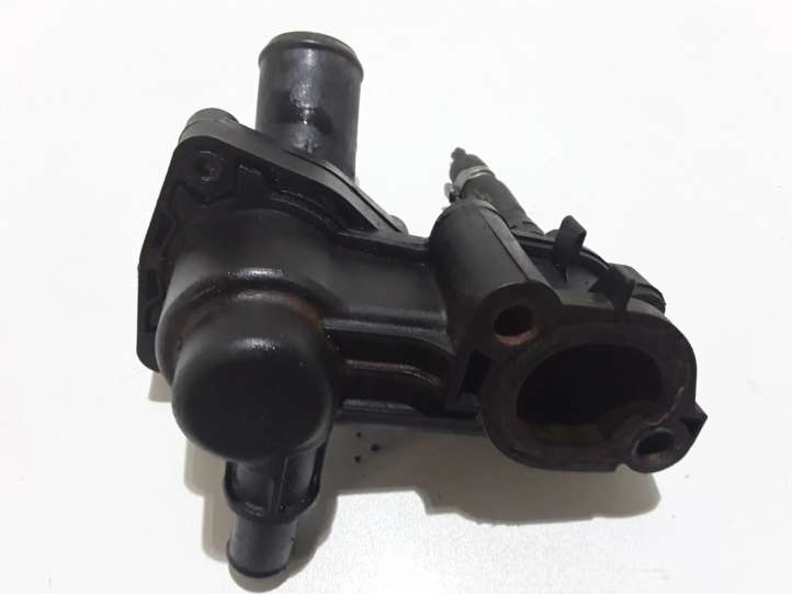 2S408594AB Ford S-MAX Termostatas/ termostato korpusas