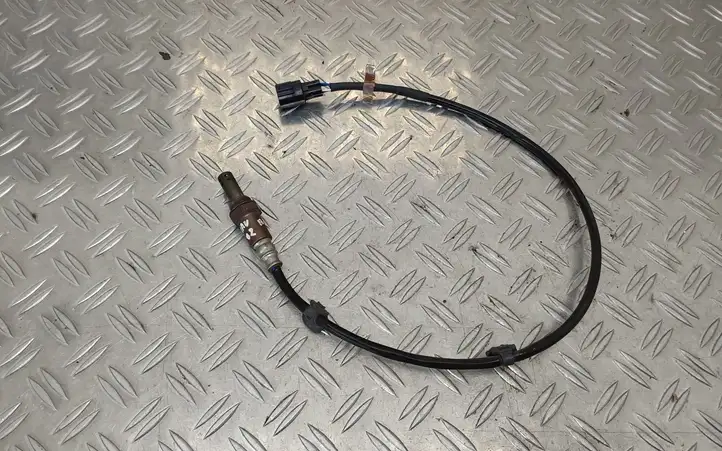 Toyota RAV 4 (XA20) (2000 - 2005) 8946542090 Лямбда-зонд — фото 1