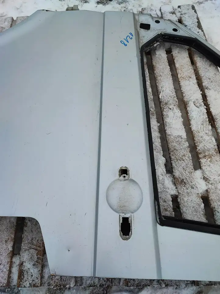 Volkswagen Transporter - Caravelle T5 (2003 - 2009) Дверь — фото 7