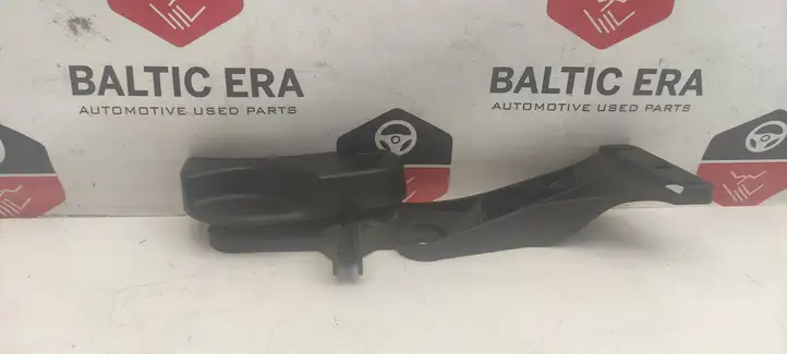 BMW 3 F30 F35 F31 (2012 - 2018) 7326365 Ручка открытия капота — фото 2