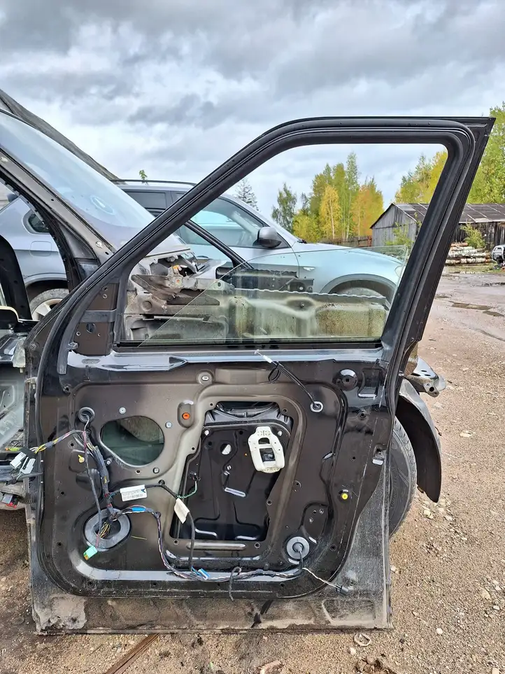 Land Rover Range Rover Sport L320 (2005 - 2009) Дверь — фото 4