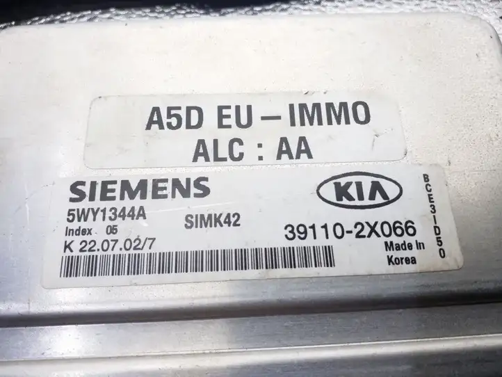 Kia Rio (1999 - 2002) 391102X066 Блок управления двигателем (ECU) — фото 2
