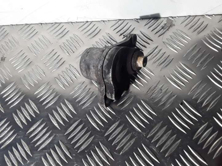 117507568R Nissan Qashqai Generatoriaus diržo įtempėjas