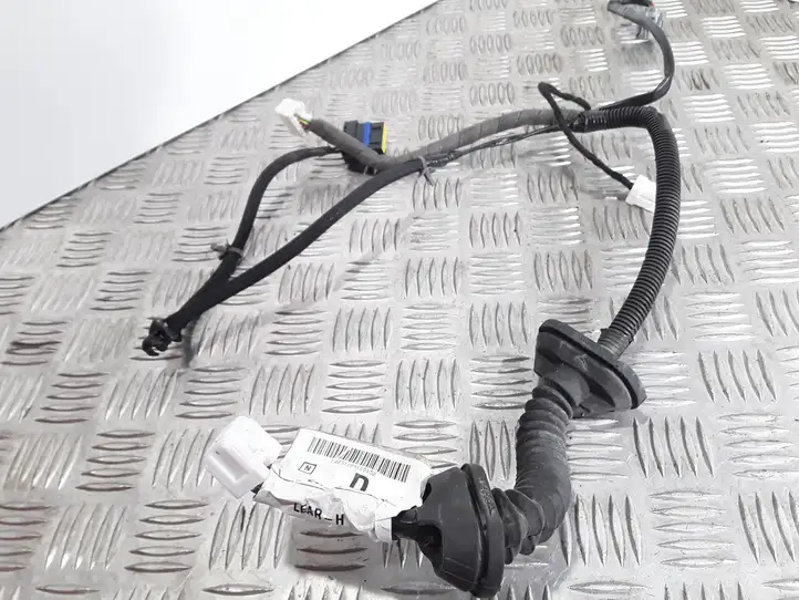 Nissan Qashqai (2006 - 2010) 24126JD10B Проводка задней двери — фото 2