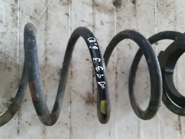 Hyundai ix20 (2010 - 2015) Пружина задней подвески — фото 2