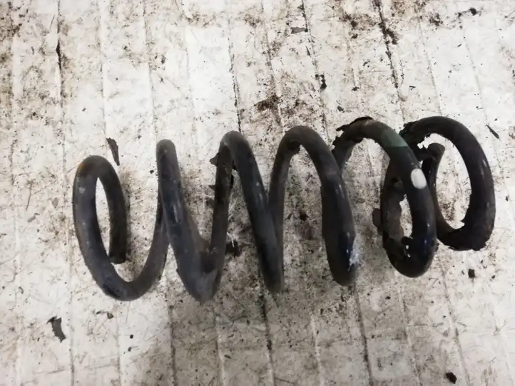 Toyota Avensis T270 (2009 - 2012) Пружина задней подвески — фото 1