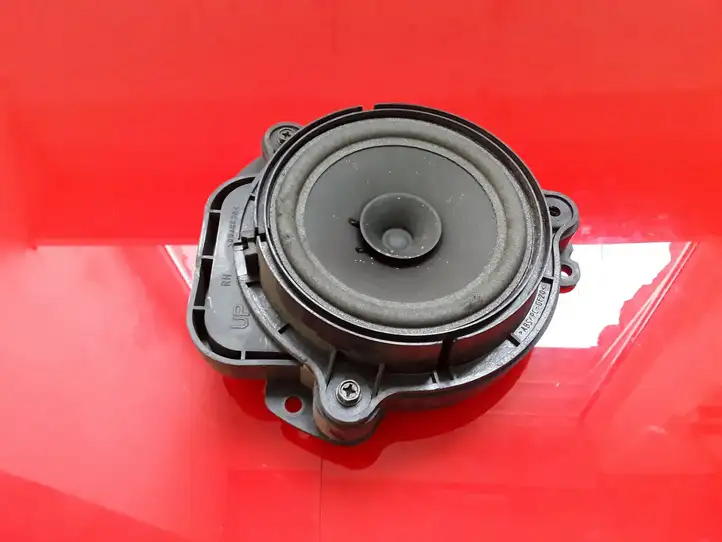 Nissan Navara D40 (2004 - 2015) Динамики задних дверей — фото 1