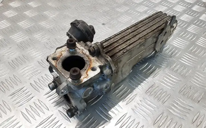 Seat Leon (1P) (2005 - 2012) 03G131513J Охладитель клапана EGR — фото 4