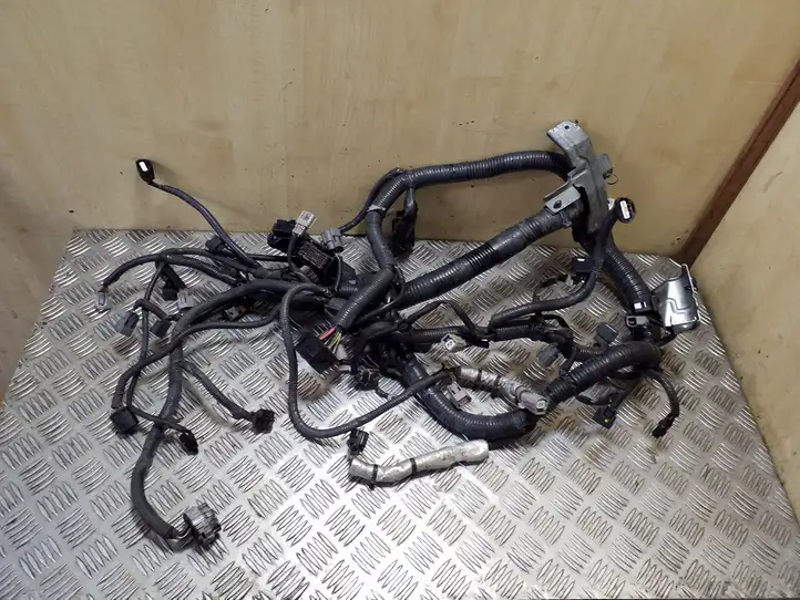 Nissan Juke I F15 (2010 - 2018) 240111KC6A Проводка двигателя — фото 2
