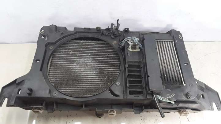 963308880 Citroen C5 Aušinimo skysčio radiatorius