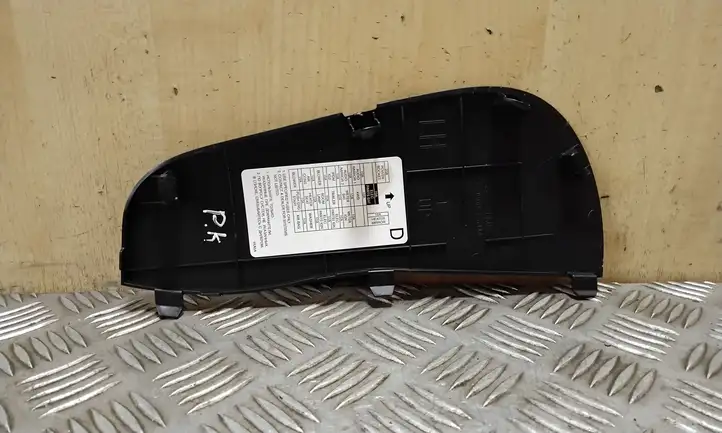 Nissan Juke I F15 (2010 - 2018)  684991KK0A Отделочный щит панели (боковой)